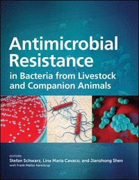 bokomslag Antimicrobial Resistance in Bacteria from Livestock and Companion Animals