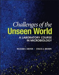 bokomslag Challenges of the Unseen World