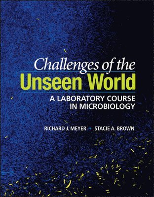 Challenges of the Unseen World