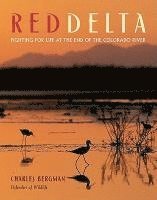 bokomslag Red Delta