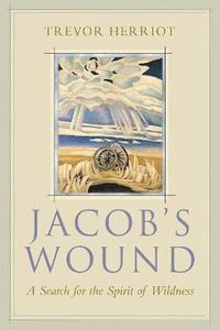 bokomslag Jacob's Wound