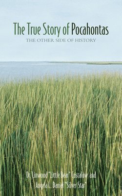 bokomslag The True Story of Pocahontas: The Other Side of History