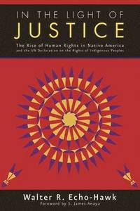 bokomslag In the Light of Justice: The Rise of Human Rights in Native America and the Un Declaration on the Rights of Indigenous Peoples