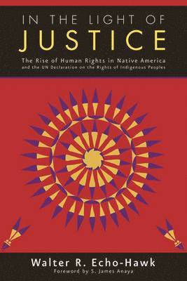 bokomslag In the Light of Justice: The Rise of Human Rights in Native America and the Un Declaration on the Rights of Indigenous Peoples