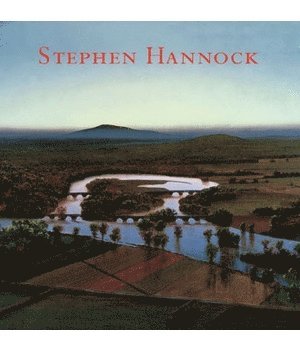 Mark C. Taylor, Martha Hoppin, Garrett White - Stephen Hannock, Inbunden