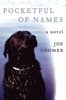 Joe Coomer - Pocketful Of Names, Häftad