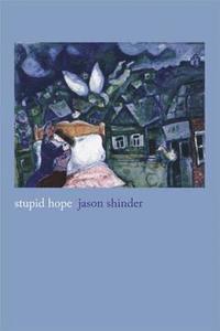 bokomslag Stupid Hope