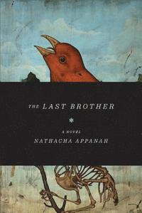 bokomslag The Last Brother