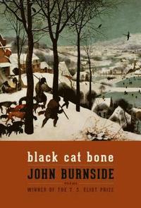 bokomslag Black Cat Bone: Poems