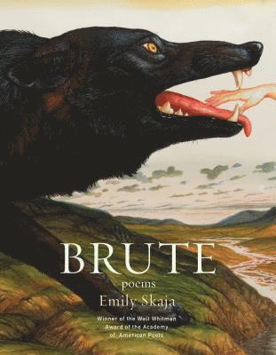 Emily Skaja - Brute, Häftad