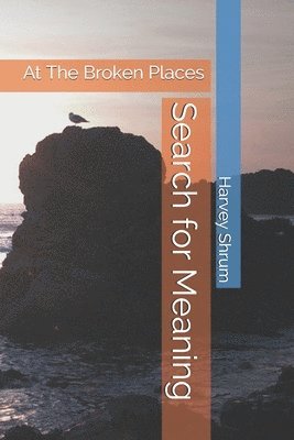 Search for Meaning: At The Broken Places 1