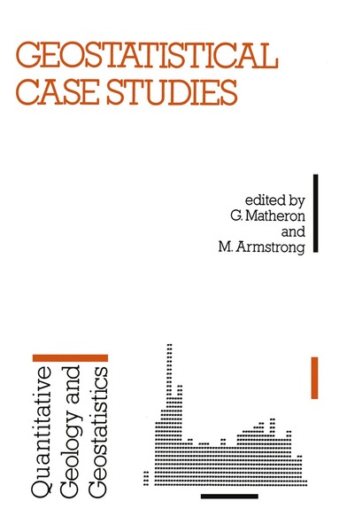 bokomslag Geostatistical Case Studies