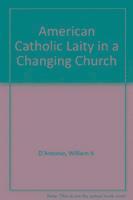 bokomslag American Catholic Laity in a Changing Church