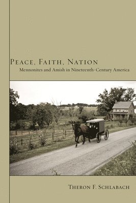 Peace, Faith, Nation: Mennonites and Amish in Nineteenth-Century America 1