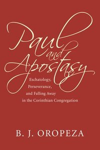 bokomslag Paul and Apostasy