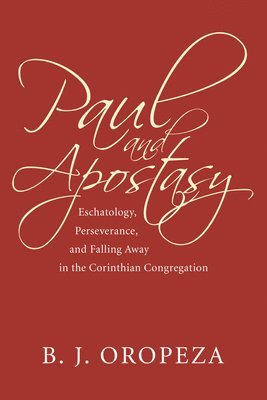 bokomslag Paul and Apostasy