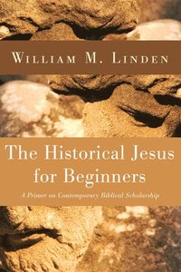 bokomslag Historical Jesus for Beginners
