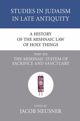 bokomslag A History of the Mishnaic Law of Holy Things, Part 6