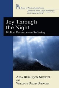 bokomslag Joy Through the Night