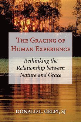 bokomslag The Gracing of Human Experience