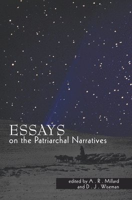 bokomslag Essays on the Patriarchal Narratives