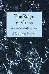 bokomslag The Reign of Grace