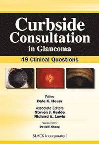 Dale K. Heuer, Steven J. Gedde, Richard Lewis - Curbside Consultation in Glaucoma, Häftad