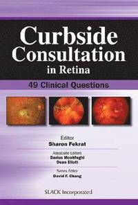 bokomslag Curbside Consultation in Retina