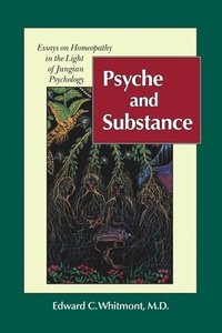 bokomslag Psyche and Substance