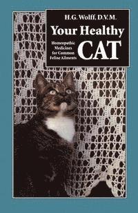 Your Healthy Cat