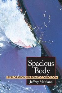 bokomslag Spacious Body