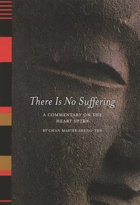 bokomslag There Is No Suffering