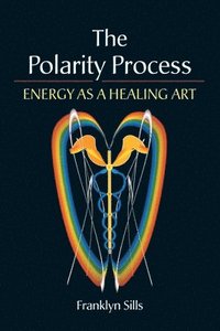 bokomslag The Polarity Process