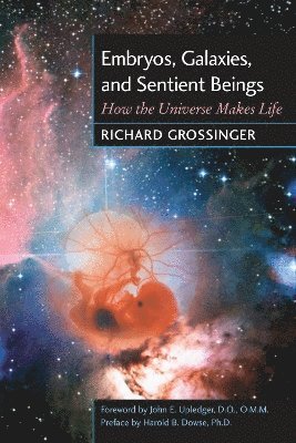 Embryos Galaxies Sentient
