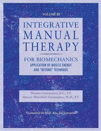 bokomslag Integrative Manual Therapy for Biomechanics