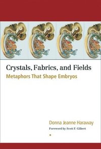 bokomslag Crystals, Fabrics, and Fields
