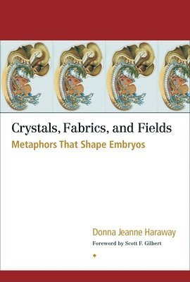 Crystals, Fabrics, and Fields 1