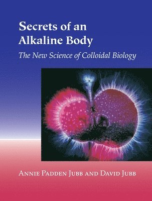 bokomslag Secrets of an Alkaline Body