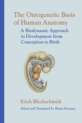 bokomslag Ontogenetic Basis of Human Anatomy