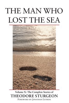 bokomslag Man Who Lost the Sea