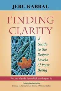 bokomslag Finding Clarity