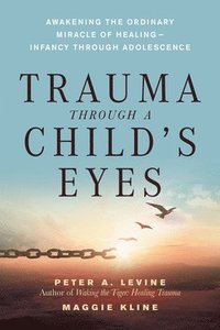 bokomslag Trauma Through a Child's Eyes