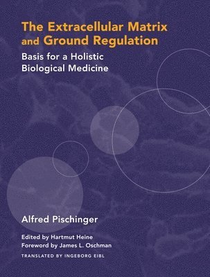 bokomslag The Extracellular Matrix and Ground Regulation