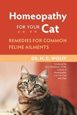 Homeopathy for Your Cat 1