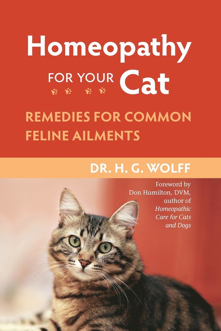 Homeopathy for Your Cat 1