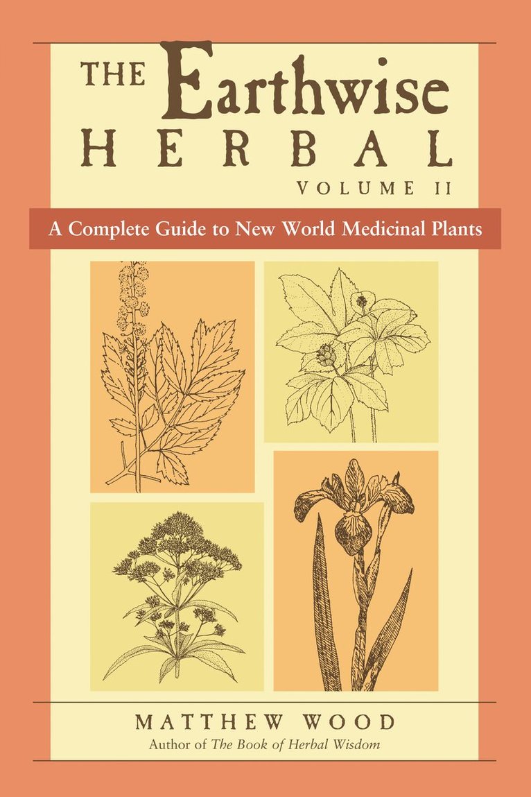 Matthew Wood - Earthwise Herbal, Volume II, Häftad