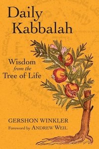 bokomslag Daily Kabbalah