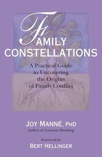 bokomslag Family Constellations