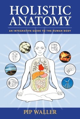 bokomslag Holistic Anatomy