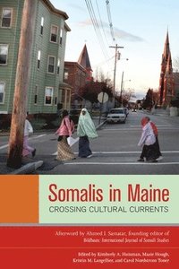 bokomslag Somalis in Maine